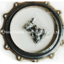 Cummins Diesel Parts Seal 3630681